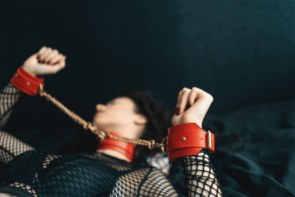 Waarom deze BDSM-Encyclopedia?