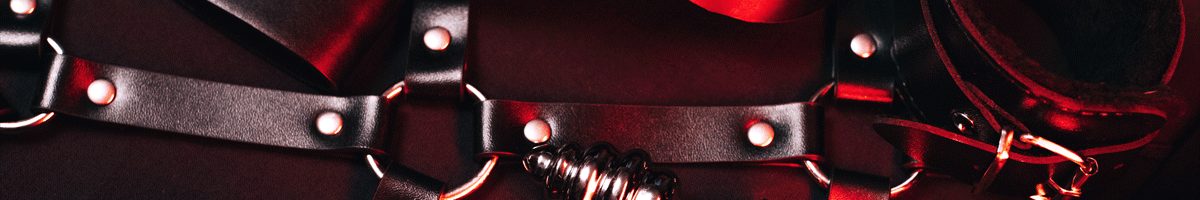 Disclaimer BDSM-Encyclopedia.com