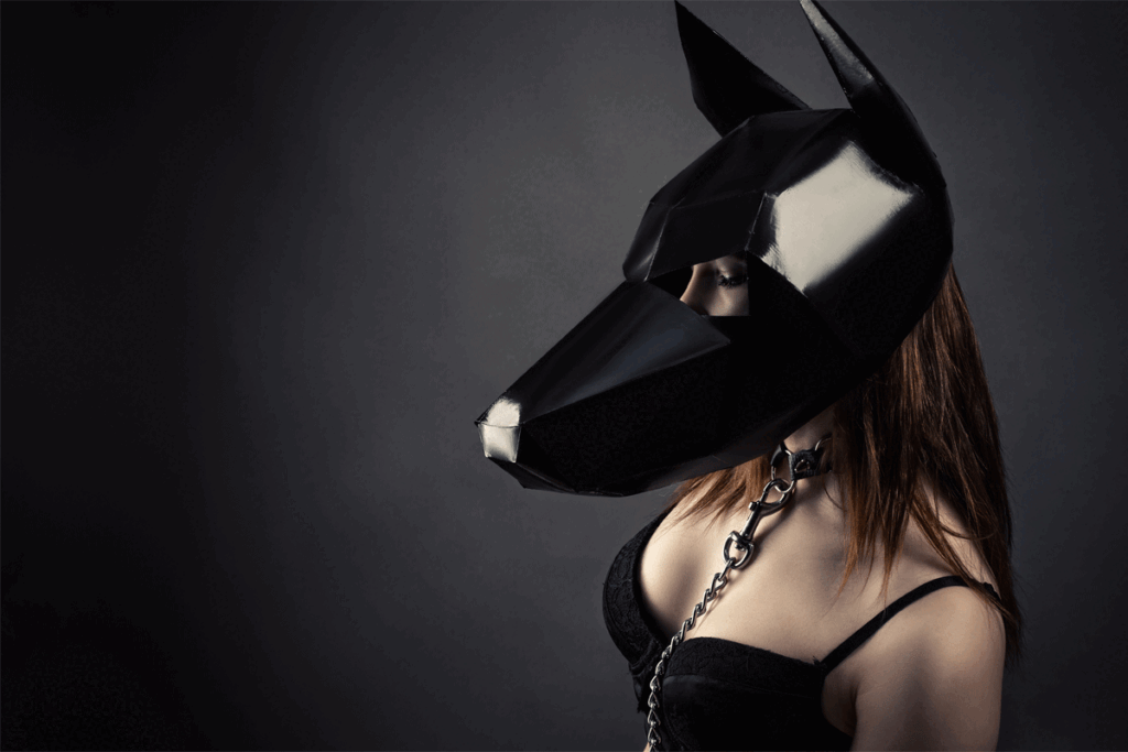 Animal play