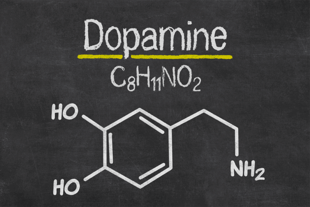 Dopamineverslaving - Dopamine