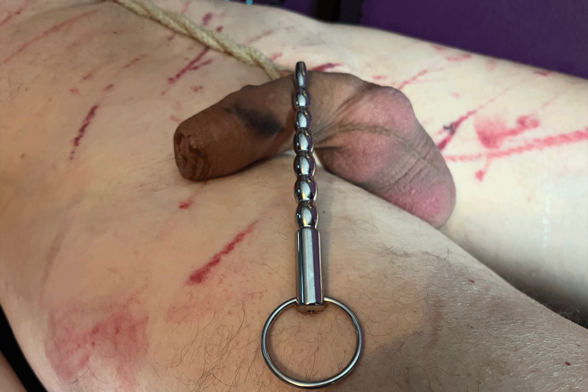 penis plug insertion Amazon.com: Teriya Estim Electrosex Gear Insert Accessory Penis Plug Glans  Ring with 2.5mm Hole Cable : Health & Household main image 0