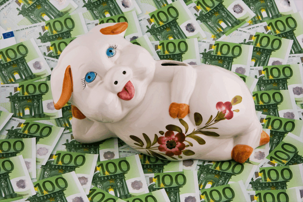 Paypig